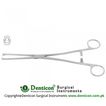 Museux Tenaculum Forcep 2 x2 Teeth Stainless Steel, 24 cm - 9 1/2" Jaw Size 7 mm